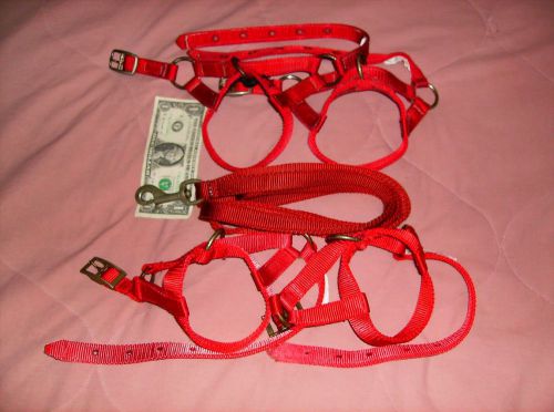 4 red halters, 1 red lead rope, used, llama, sheep, goat, alpaca for sale