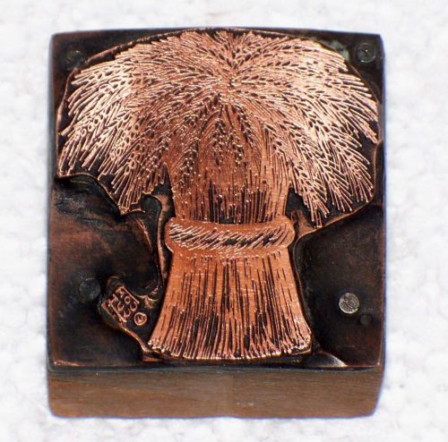 Com cut copper printing block palm tree? or some other type of bush? tree? for sale