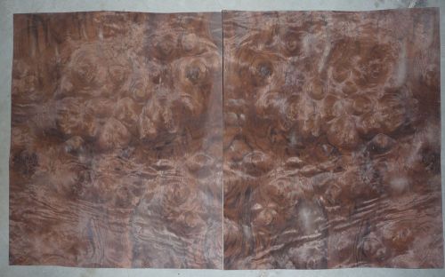 Walnut Burl cluster wood veneer 12&#034;x15&#034;