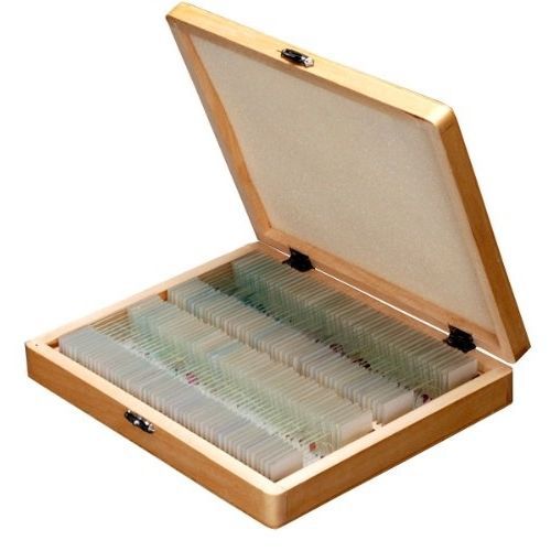 Professional Glass Biological Microscope Prepared Slides Lab Specimens Wood Set