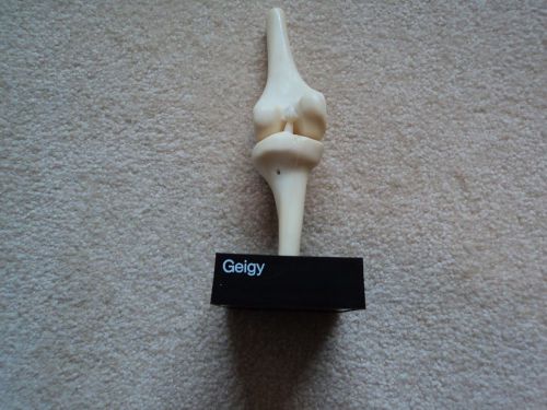 VINTAGE 60&#039;S-70&#039;S Human Knee Bone Joint 3D Anatomical Medical Display