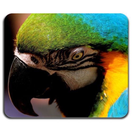 New! Colorful Parrot Bird Jungle Lovers Nature Cool Computer Mouse Pad Washable