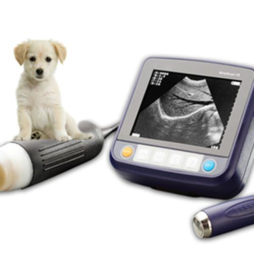 portable wrist veterinary ultrasound system with multifrequency waterproof probe