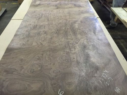 Wood Veneer Walnut Burl 28x80 1 Piece 20Mil paper Backed &#034;EXOTIC&#034; BEL 6