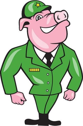 30 Custom Pig Soldier Personalized Address Labels