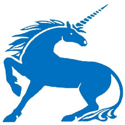 30 Custom Blue Unicorn Personalized Address Labels