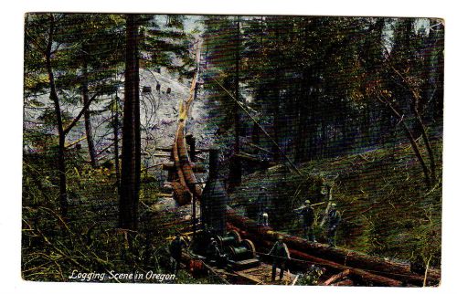 1920&#039;s postcard logging in the northwest #4 of 6,donkey engine logging in oregon for sale