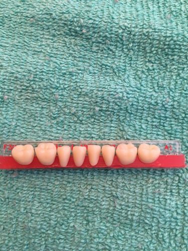 CLASSIC TRUBYTE POSTERIOR TEETH F30  A1 LOWER