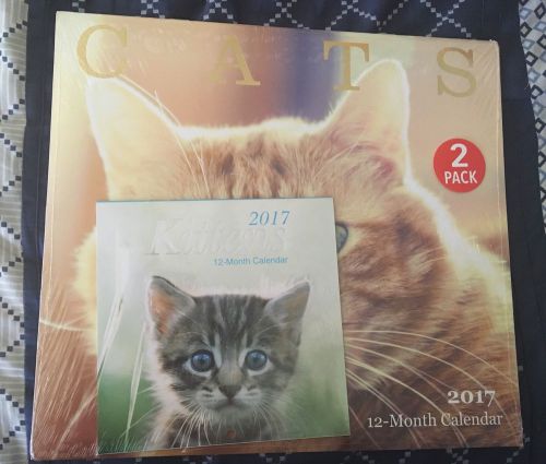 2017 Two Pack Cats Calendar