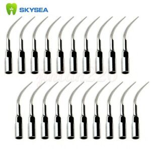 20* P1 Dental Ultrasonic Scaler Perio Insert Tip for Wooedpeck EMS Handpiece Hv