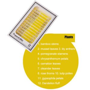 12x Prepared Microscope Slides Specimen Set Animals Sections Plants Samples Kit