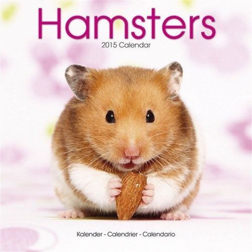 NEW 2015 Hamsters Wall Calendar by Avonside- Free Priority Shipping!