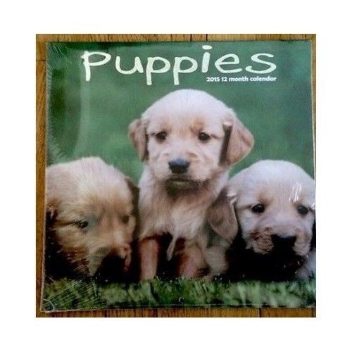 Wall Calendar 2015 Cute Puppies 12 Month Paper 12 x 12 Notes Before After Desk