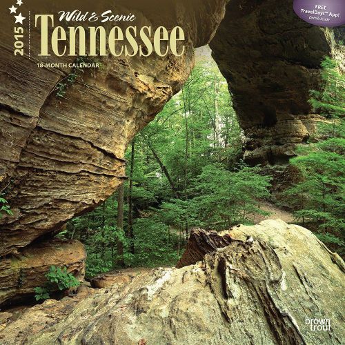 2015 Tennessee Wild and Scenic 2015 Wall Calendar - 12X12 - NEW