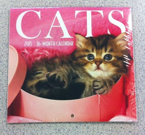 2015 CATS 16-month MINI Wall Calendar Small Kitten  NEW