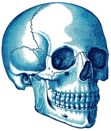 30 Custom Blue Skeleton Head Personalized Address Labels