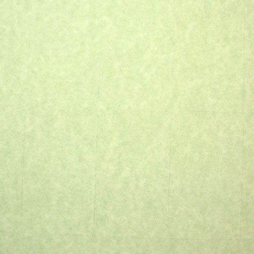 PRINT YOUR OWN BUSINESS CARDS  GREEN PARCHMENT  PRE-PERFORATED CARD STOCK  #307