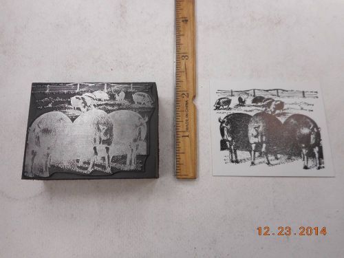 Letterpress Printing Printers Block, Backside 3 Farm Pigs eating at Trough