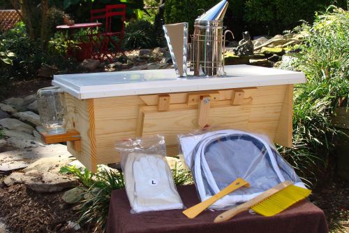 Top bar beehive - starter kit special for sale