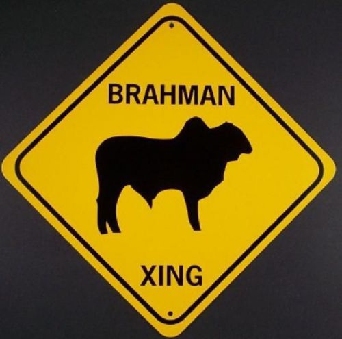 BRAHMAN XING Cow Aluminum Sign