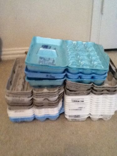 31 Egg Cartons Styrofoam/paper Backyard Chickens- Used Clean And Good Condition