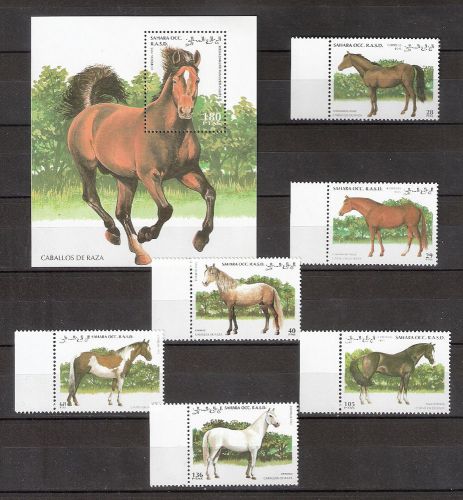 Sahara &#034;horses&#034; 1993  sheet + 6 stamps mnh for sale