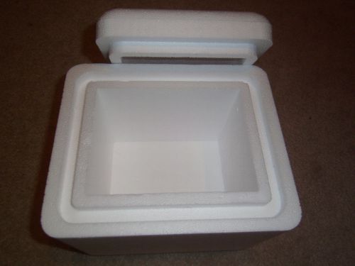 Styrofoam Insulated Cooler 11x9x10