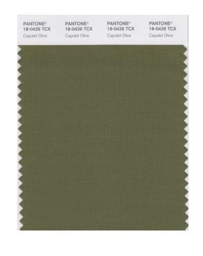 PANTONE SMART 18-0426X Color Swatch Card, Capulet Olive