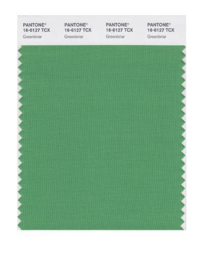 PANTONE SMART 16-6127X Color Swatch Card, Greenbriar