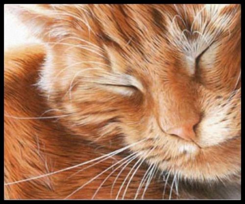 New GINGER CAT Mouse Pad Mats Mousepad Hot Gift