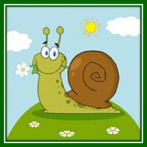 30 Custom Snail Personalized Address Labels