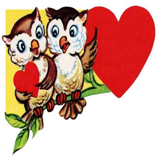 30 Custom Valentine Owls Personalized Address Labels