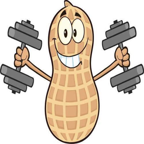 30 Custom Peanut Workout Personalized Address Labels