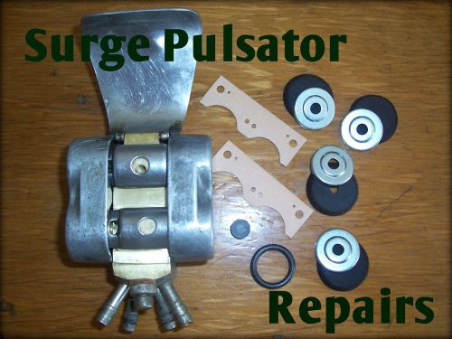 Surge Pulsator Repairs