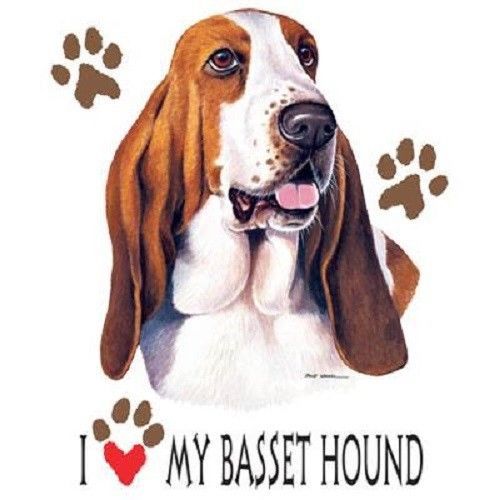 Basset Hound Dog HEAT PRESS TRANSFER for T Shirt Tote Bag Sweatshirt Fabric 808h