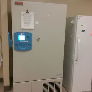 -80C Freezer Thermo Scientific TSU600A Series