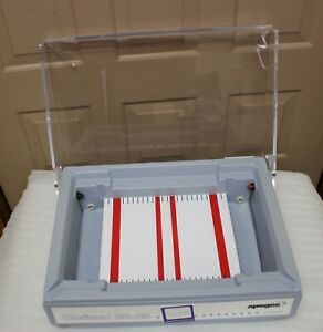 Horizon 20.25 Gel Electrophoresis System Apogee