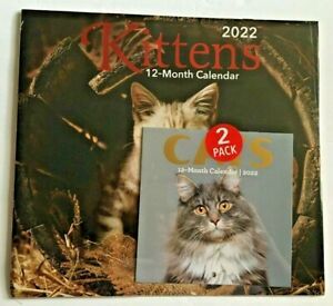 2022 Kittens  12 Month Calendar 1112 w/Cats Bonus Mini