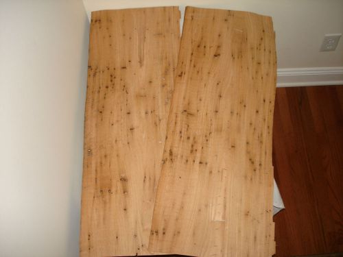 Two  rare american wormy chestnut  wood  veneer 10&#039;&#039; x 36&#039;&#039; = 1/28 or .0357 in for sale