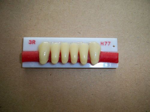 Plastic anterior lower dymon-hue-hpt denture teeth!! for sale