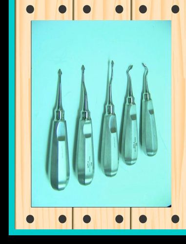 5 Arrow Concave Elevators Dental Extraction Instrument Set German Stainless