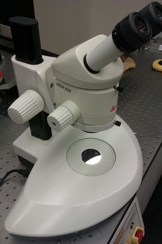 Leica MZ6 stereo microscope