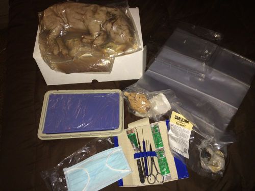 Disecting Kit With Fetal Pig/sheep Brain&amp;cow Eye