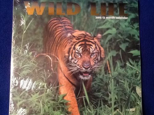 New! 2015 Full Size Wild Life Animals Calendar Gift Tiger Lion Monkey