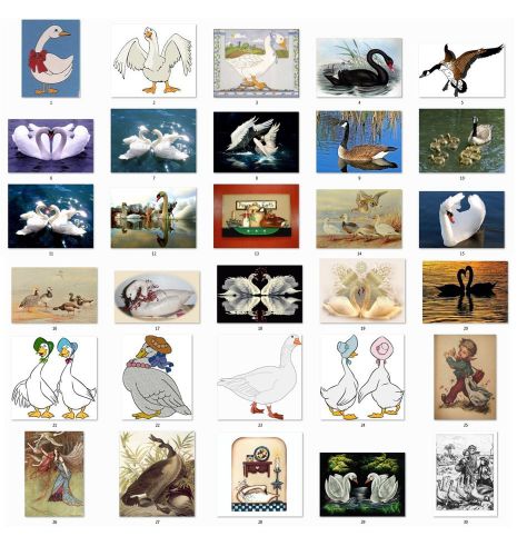 30 square stickers envelope seals favor tags geese swans buy 3 get 1 free (g1) for sale