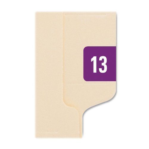 Smead 67913 purple ets color-coded year label - 2013 - 1&#034; width x 0.50&#034; length - for sale