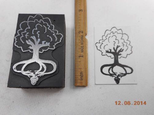 Letterpress Printing Printers Block, Small Acorn grows into Huge Oak Tree