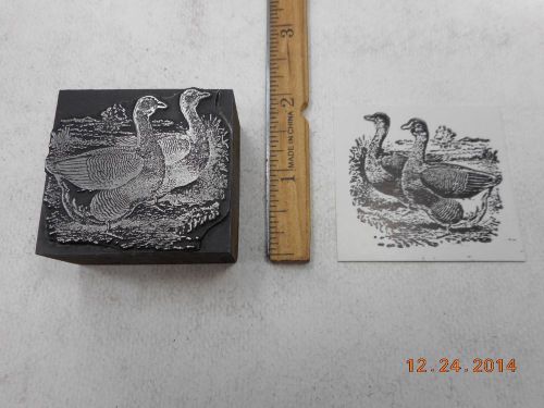 Letterpress Printing Printers Block, Detailed Geese Birds