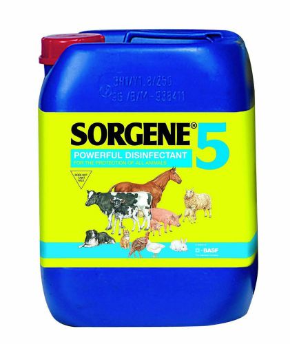 Sorgene 5 Broad Spectrum Environmental Disinfectant 5 lt
