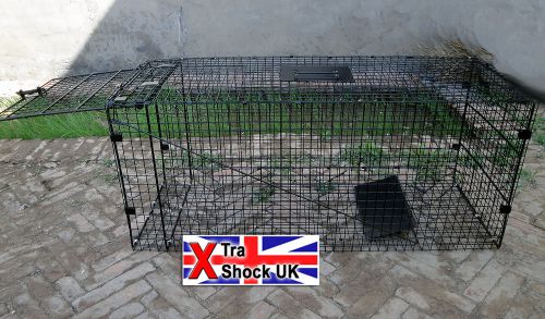 X-tra shock 42&#034;  urban fox - feral cat trap x 10 traps **trade** for sale